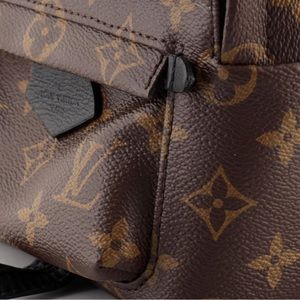 Louis Vuitton Mini Palm Springs backpack